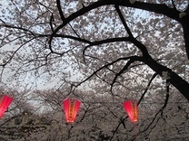 190330_3.jpg